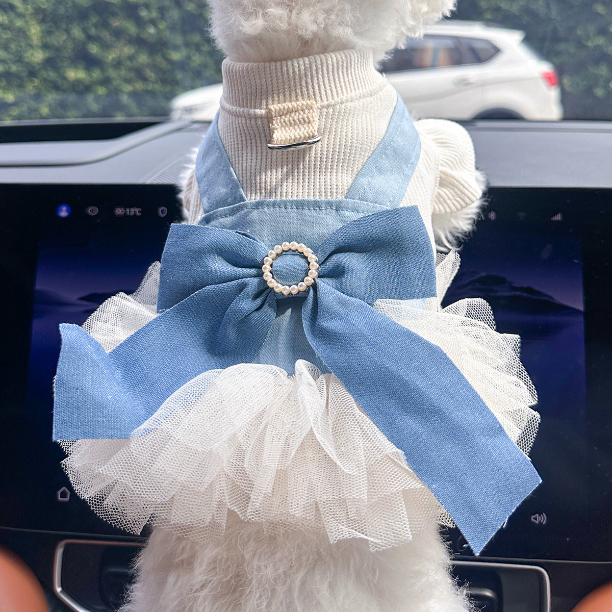 Pet Denim Skirt | Cute Summer Dress for Small Dogs & Cats – product image 34 | Pawnests