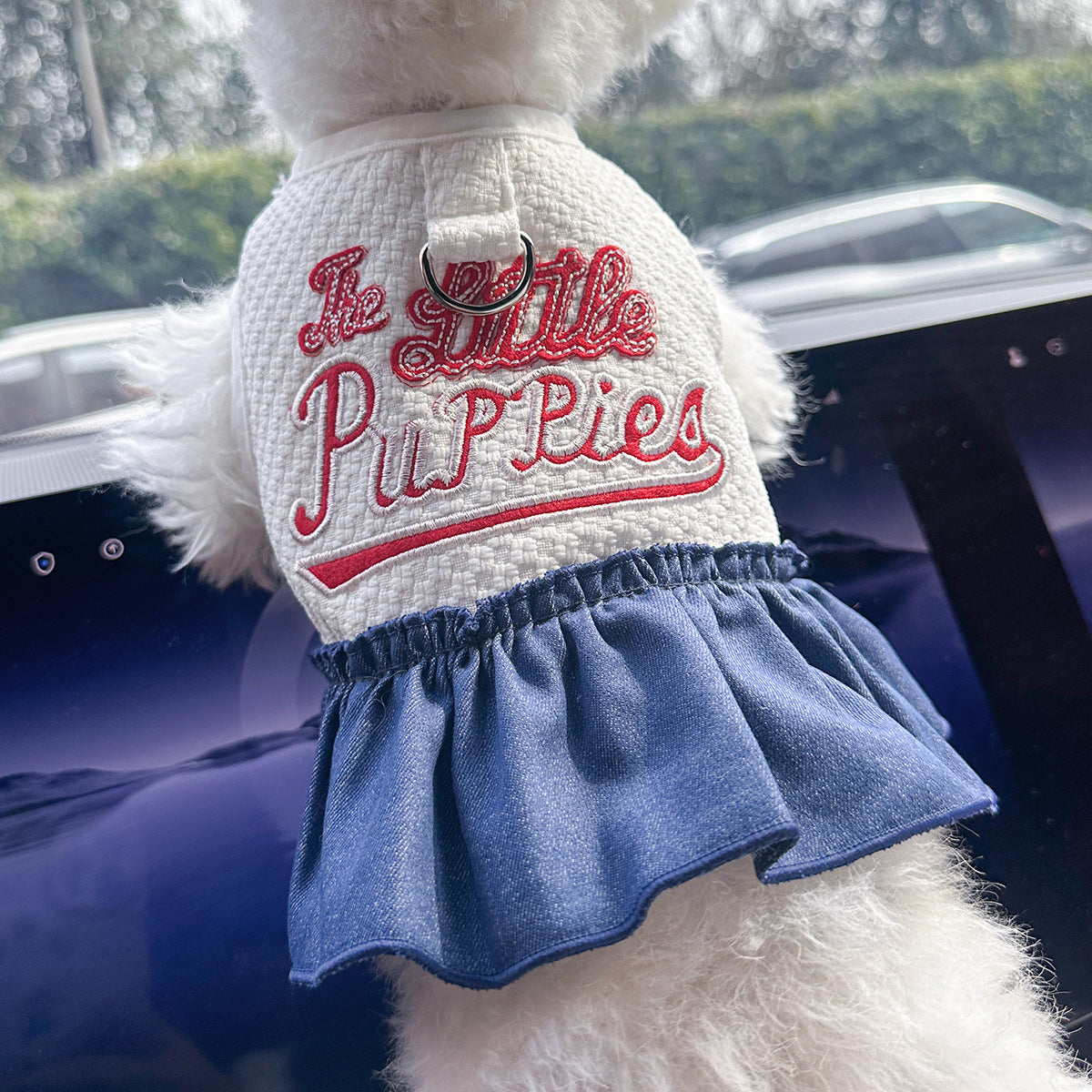 Pet Denim Skirt | Cute Summer Dress for Small Dogs & Cats – product image 31 | Pawnests