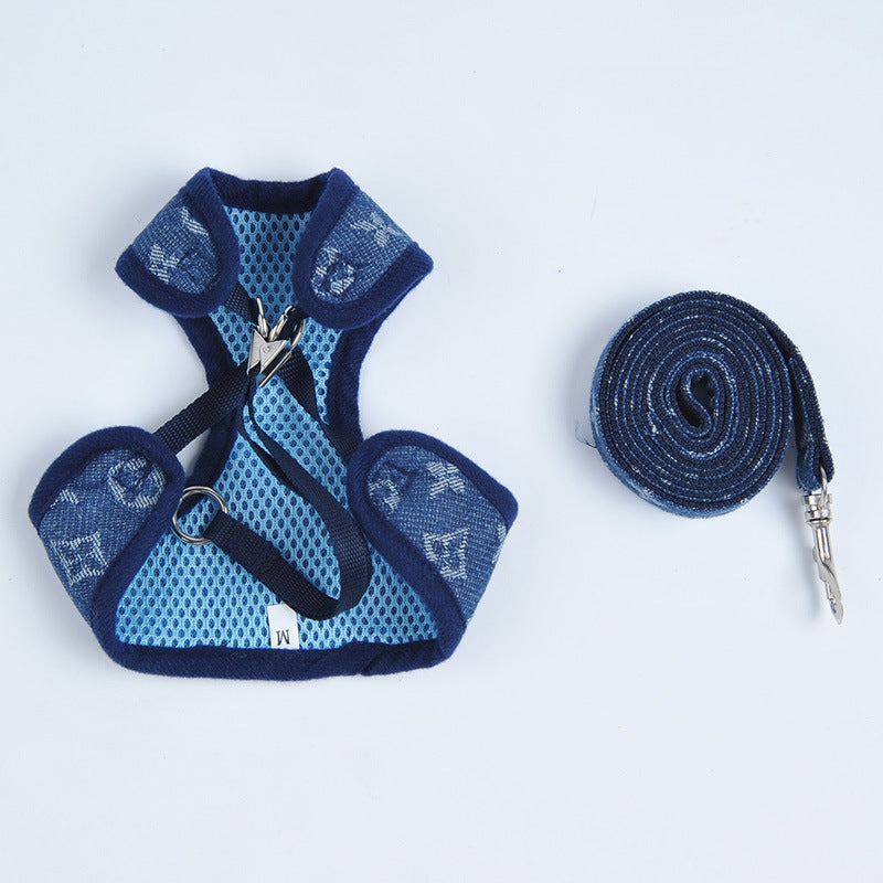 Puppy wearing harness playing outdoors — Pawnests