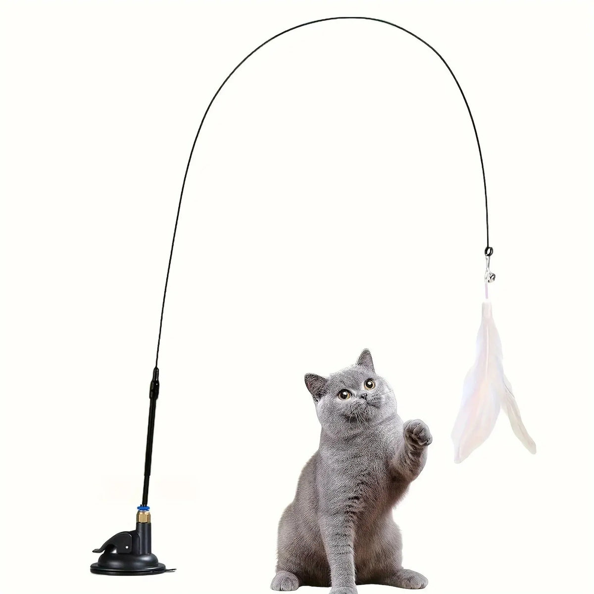 Grey cat reaching for a feather cat teaser toy on a suction-cup base | Pawnests