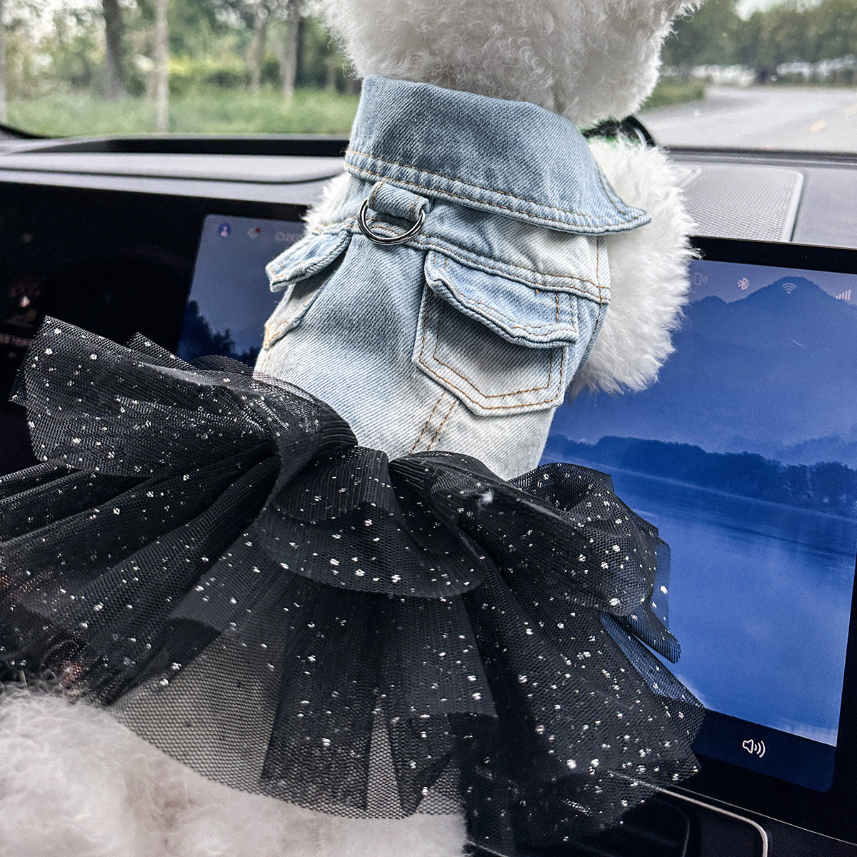 Small dog modelling denim skirt — cute pet apparel for photoshoots | Pawnests