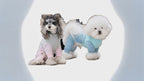 Traje de Malla para Mascotas | Conjunto de Verano de 4 Patas Transpirable para Perros y Gatos