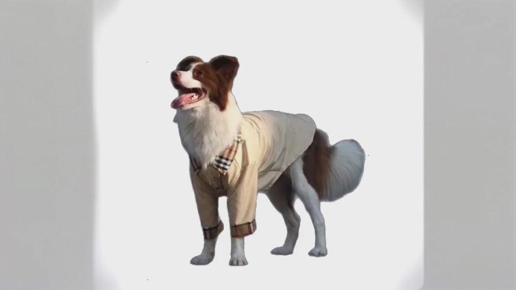Shirt für große Hunde | Atmungsaktives Anti-Fellwechsel-Shirt für große Hunde