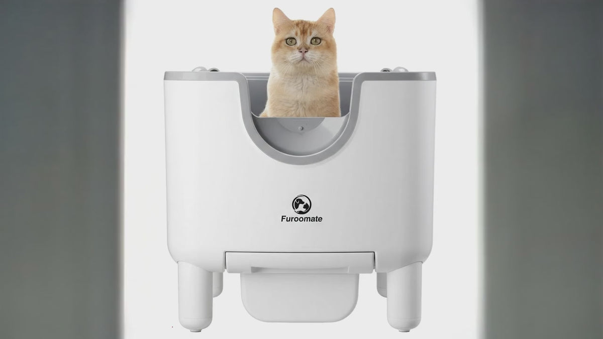 F6 Selbstreinigende Katzentoilette | Offene, automatische Geruchskontrolle