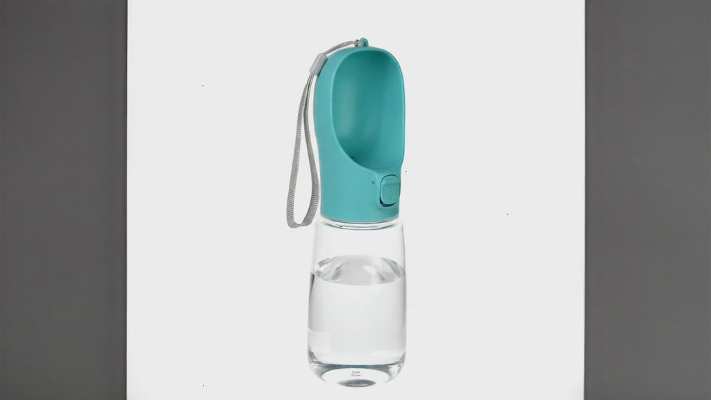 Gourde portable étanche pour chien