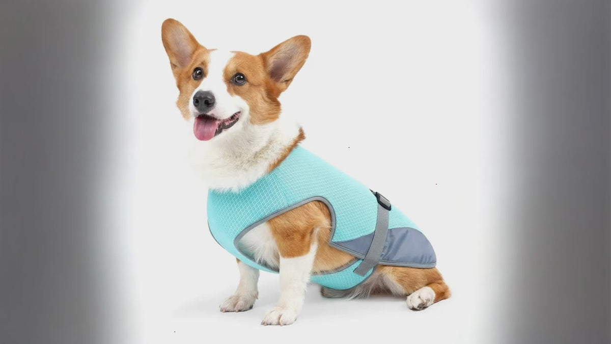 Atmungsaktive Kühlweste für Hunde – Verstellbare Sommerjacke